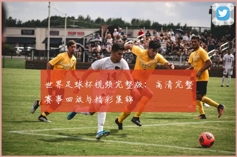 世界足球杯视频完整版:高清完整赛事回放与精彩集锦